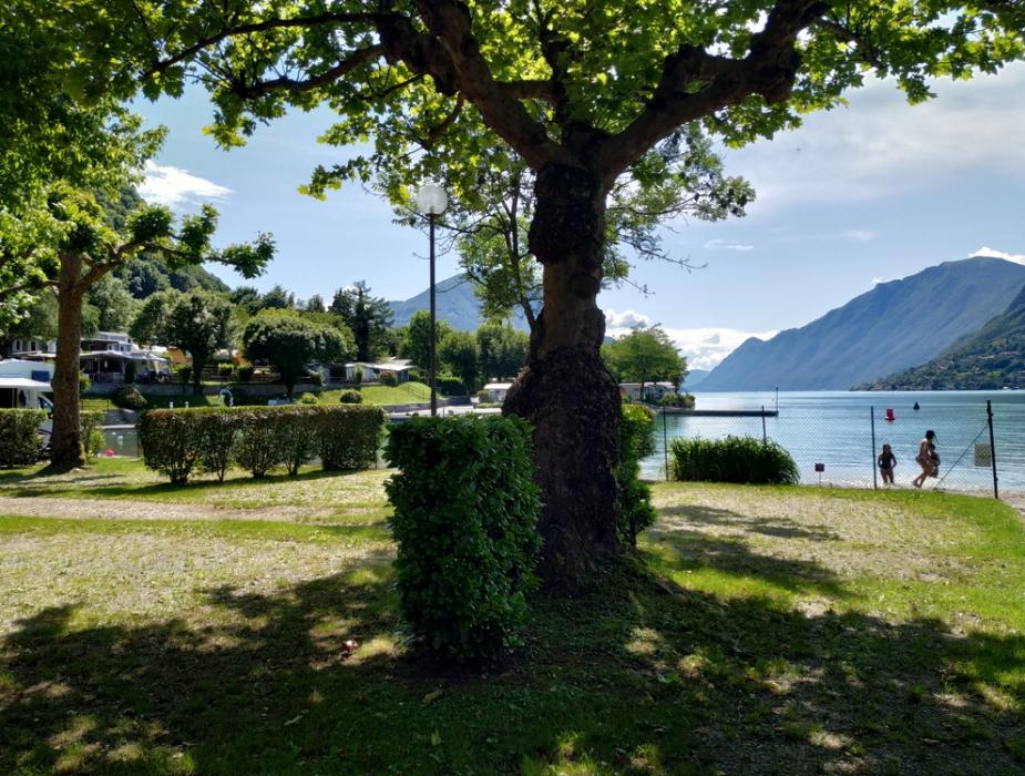 Parco alberato con vista lago e montagne, persone vicino all'acqua.